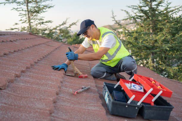 Best Roof Moss and Algae Removal  in St Hedwig, TX